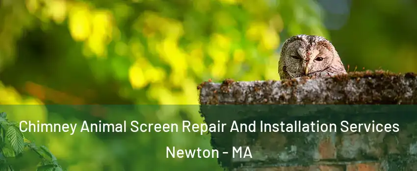  Chimney Animal Screen Repair And Installation Services Newton - MA