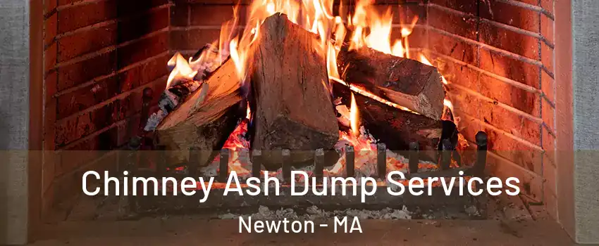  Chimney Ash Dump Services Newton - MA