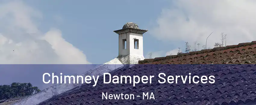  Chimney Damper Services Newton - MA