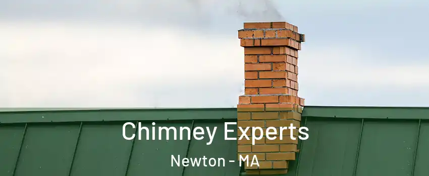  Chimney Experts Newton - MA