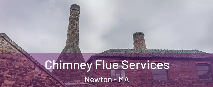  Chimney Flue Services Newton - MA