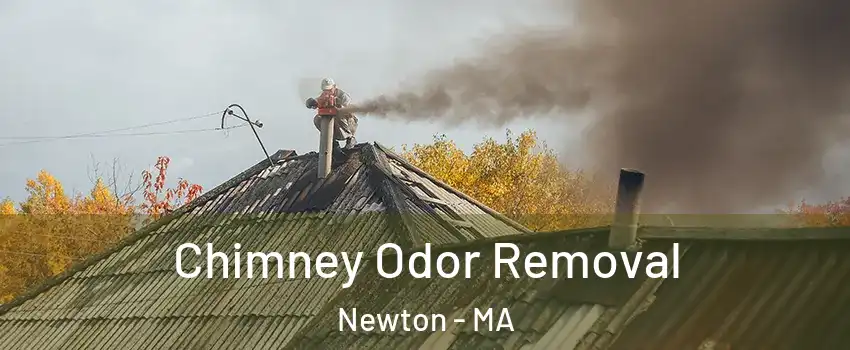  Chimney Odor Removal Newton - MA