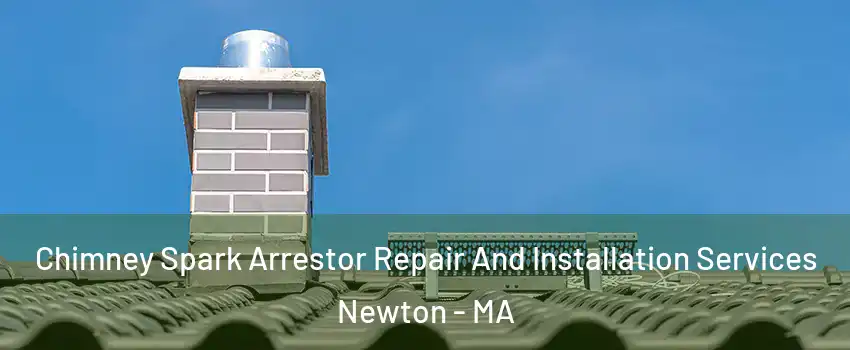  Chimney Spark Arrestor Repair And Installation Services Newton - MA