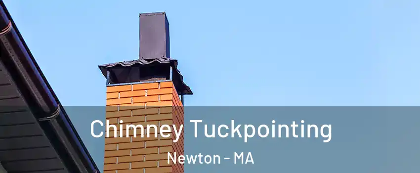  Chimney Tuckpointing Newton - MA