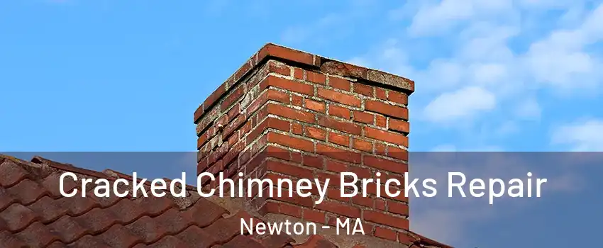  Cracked Chimney Bricks Repair Newton - MA