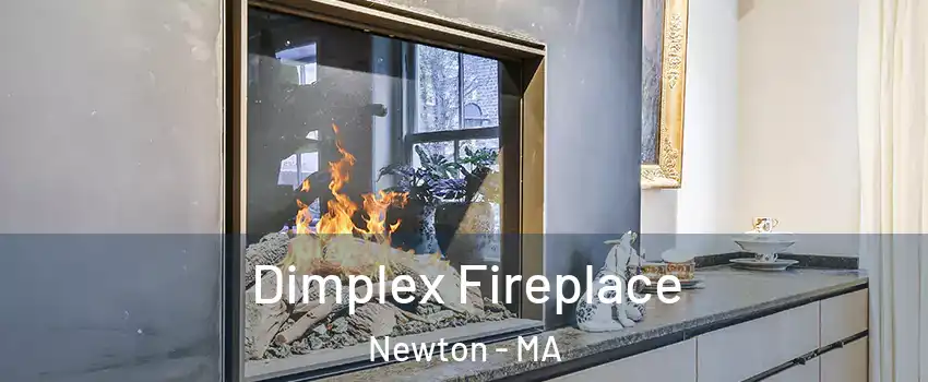  Dimplex Fireplace Newton - MA