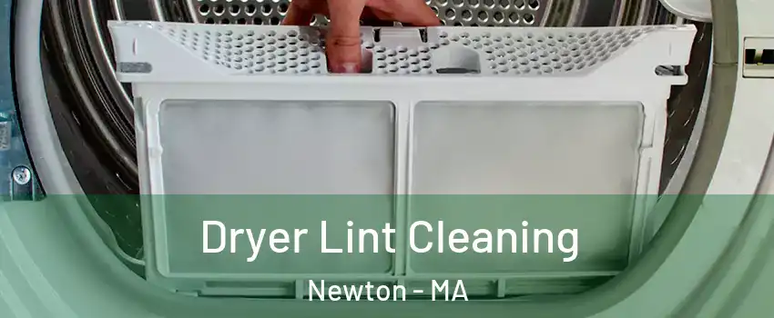  Dryer Lint Cleaning Newton - MA