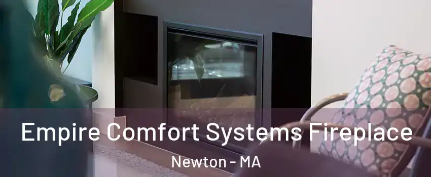 Empire Comfort Systems Fireplace Newton - MA