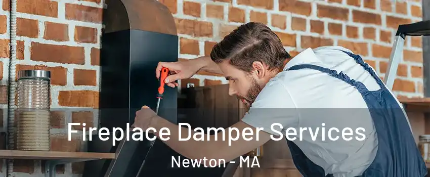  Fireplace Damper Services Newton - MA