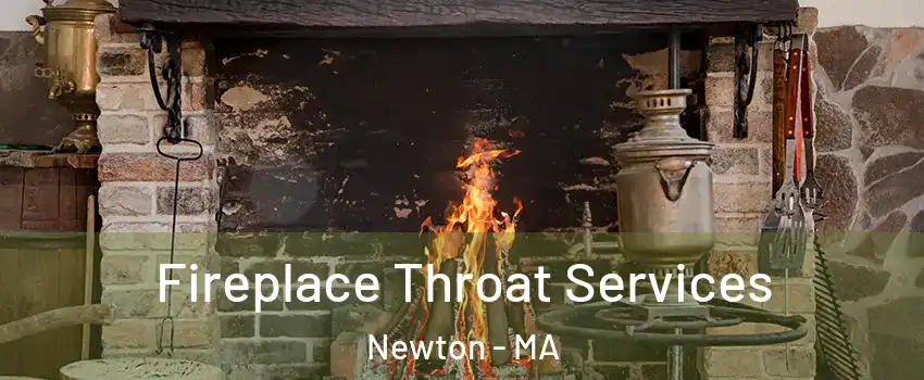  Fireplace Throat Services Newton - MA