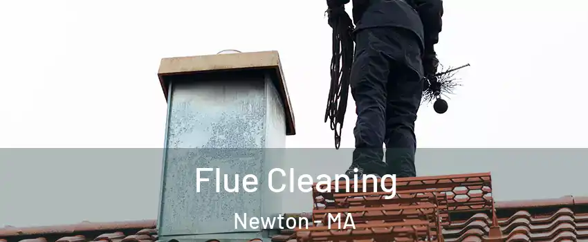 Flue Cleaning Newton - MA