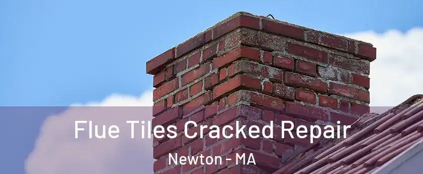  Flue Tiles Cracked Repair Newton - MA