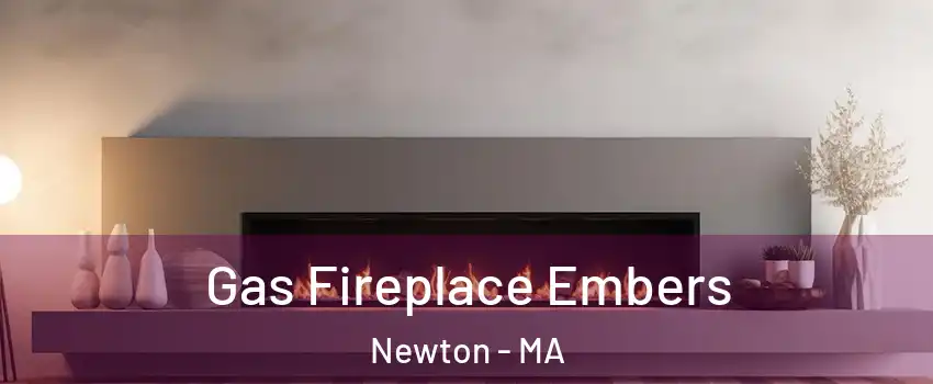  Gas Fireplace Embers Newton - MA