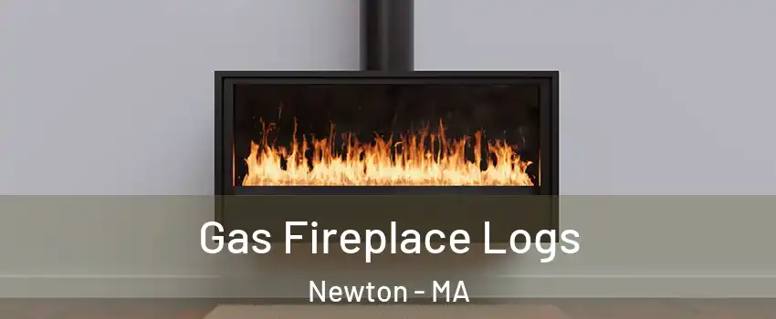  Gas Fireplace Logs Newton - MA