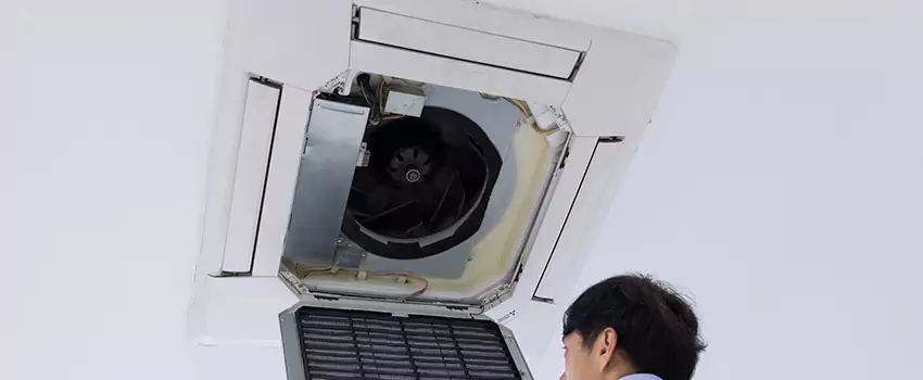 Benefits of Professional Air Duct Cleaning in Newton, Massachusetts
