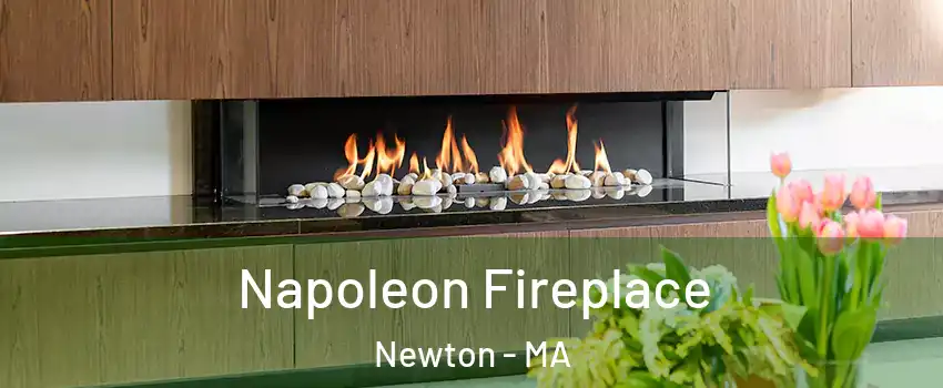  Napoleon Fireplace Newton - MA
