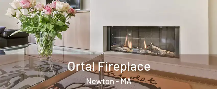  Ortal Fireplace Newton - MA