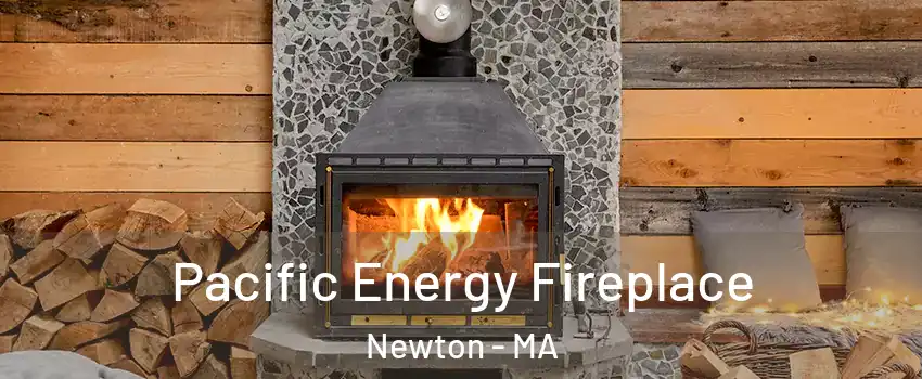  Pacific Energy Fireplace Newton - MA